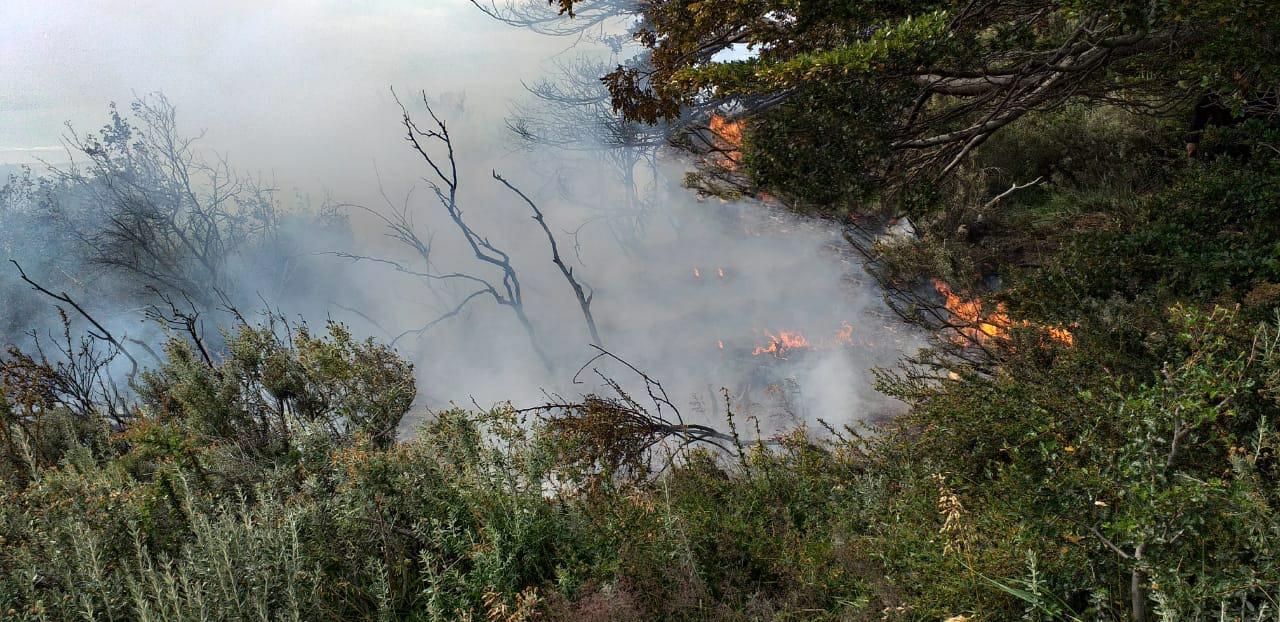 Peligro de incendios forestales en la provincia