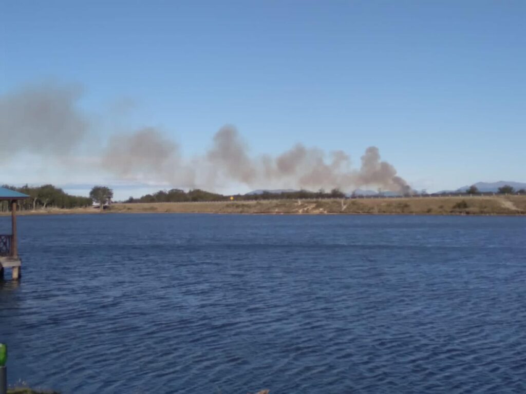 Se declaró un nuevo incendio forestal en la provincia de Tierra del Fuego