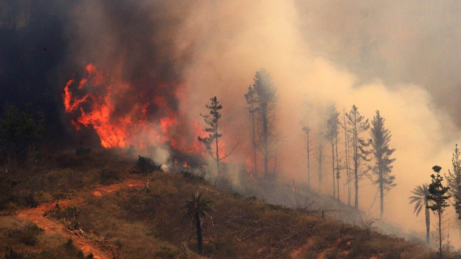 El Gobierno chileno advierte que «emergencia no ha terminado» pese a baja en incendios forestales