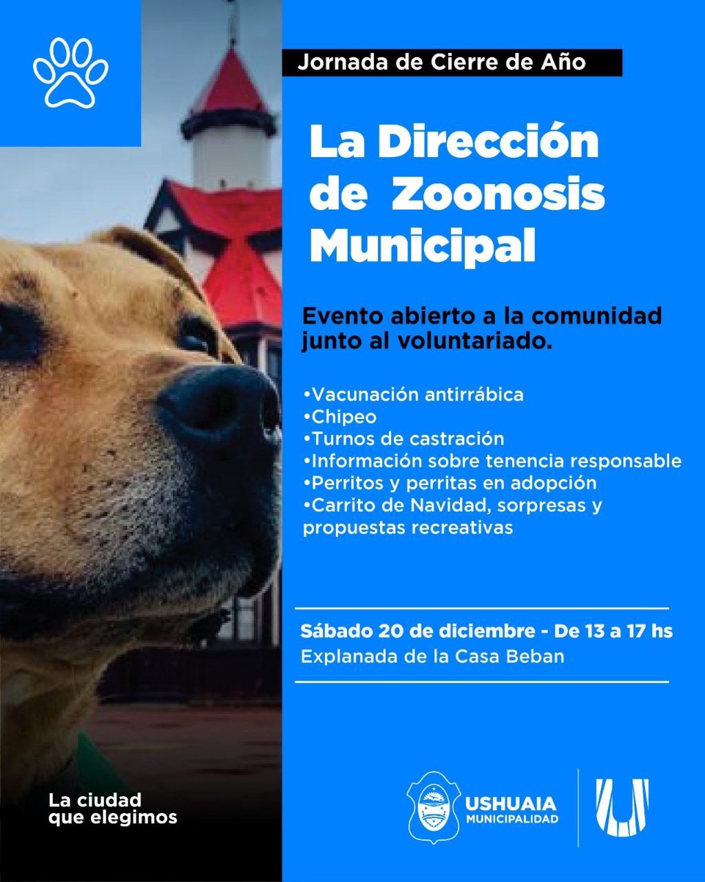 LA DIRECCIÓN DE ZOONOSIS MUNICIPAL REALIZA EL CIERRE DE AÑO JUNTO AL VOLUNTARIADO EN CASA BEBAN